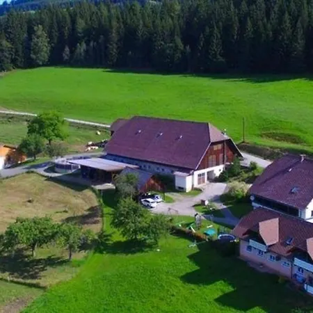Ferienwohnung Fur 4 Personen Ca 55 M In Strassburg, Karnten Mittelkarnten Apartment Strassburg